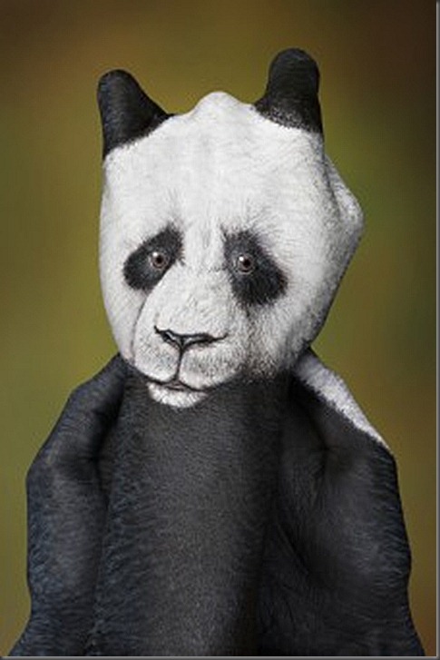 Panda--226x340