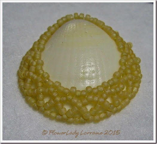 04-cream-beaded-shell