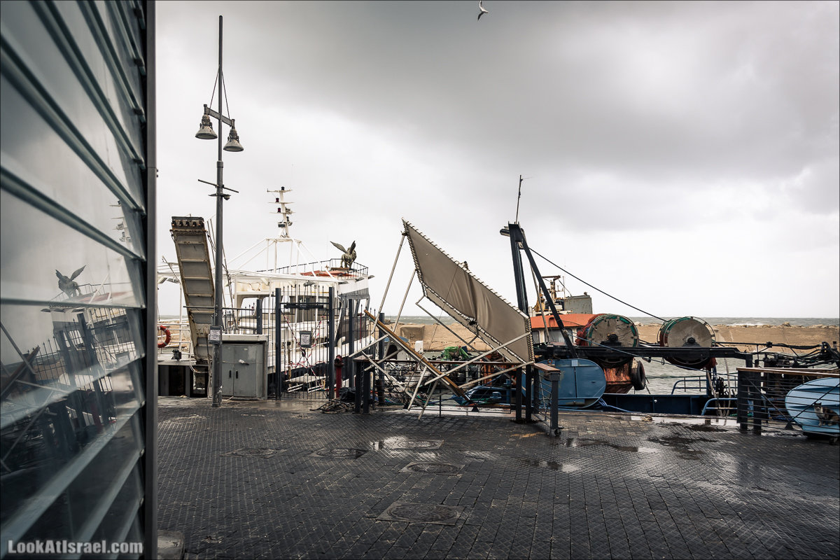 LookAtIsrael.com - Прогулка по дождливому Тель Авиву | Rain in Tel Aviv