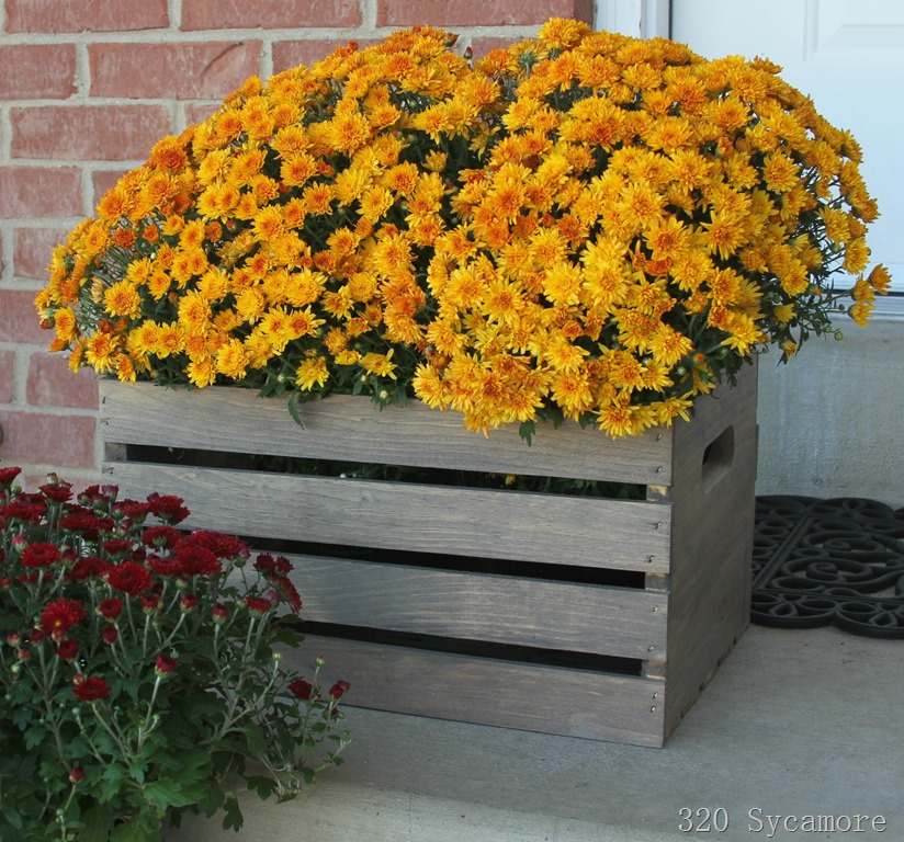 [wood-crate-with-mums3.jpg]
