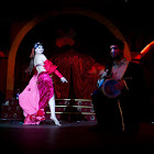 IMG_6578.jpg
