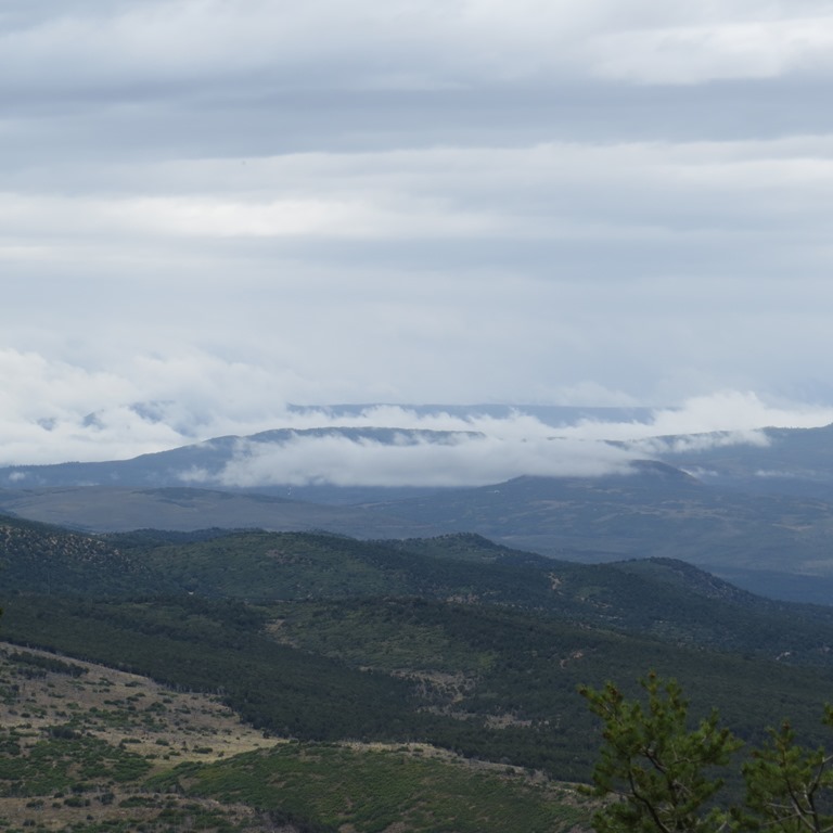 [IMG_62013.jpg]
