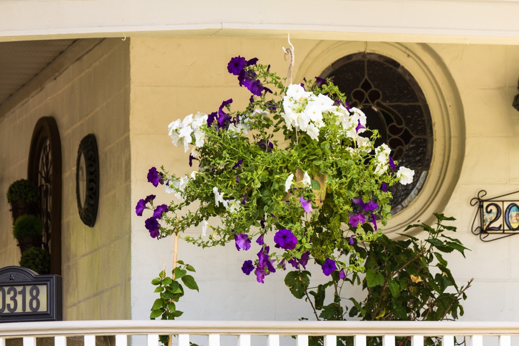 [porch%2520with%2520purple%2520and%2520white%2520container%255B7%255D.jpg]