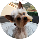 Image Google de fanfan ginesty