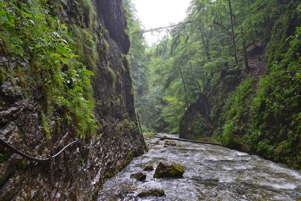 [DSC_02683.jpg]