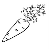 carrot.jpg