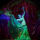 IMG_2423 copy.jpg