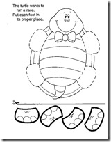 tortuga patas tortuga patas