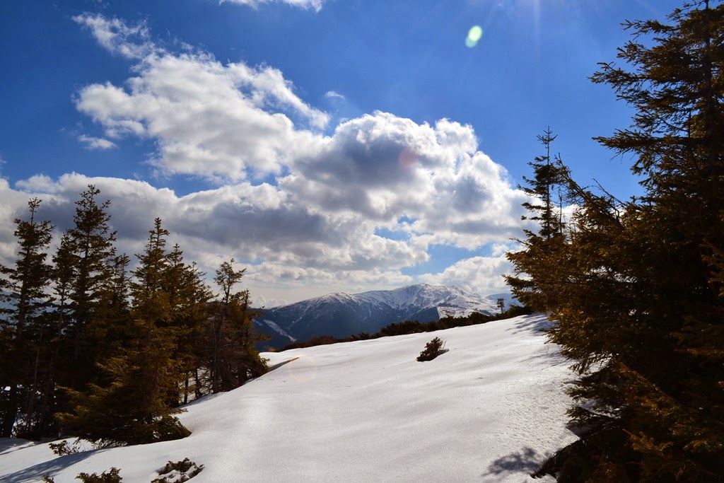 [DSC_50503.jpg]