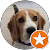 MightyBeagle CPT MightyBeagle CPT