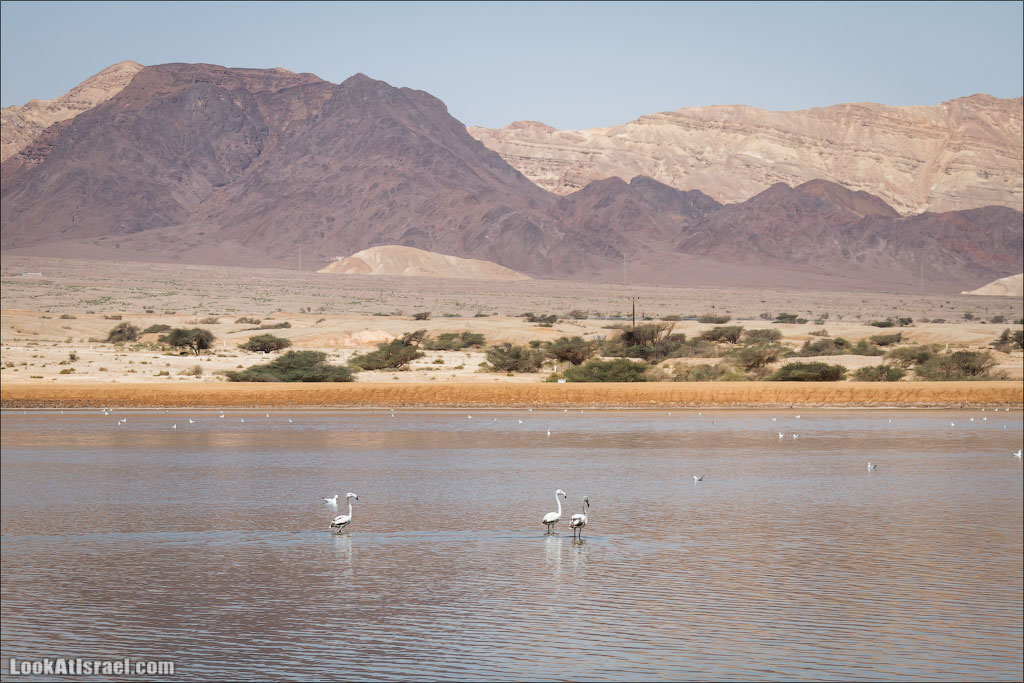 LookAtIsrael.com: Фото-блог о путешествиях по Израилю. Тель Авив, Иерусалим, Хайфа 