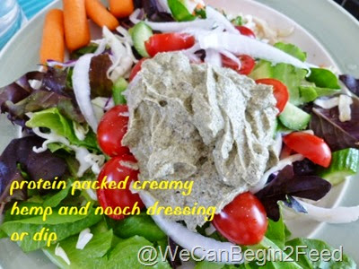 Protein Packed Creamy Hemp and Nooch Dressing or Dip