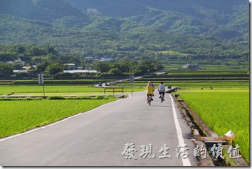 台東縣池上鄉的環圳自行車道。