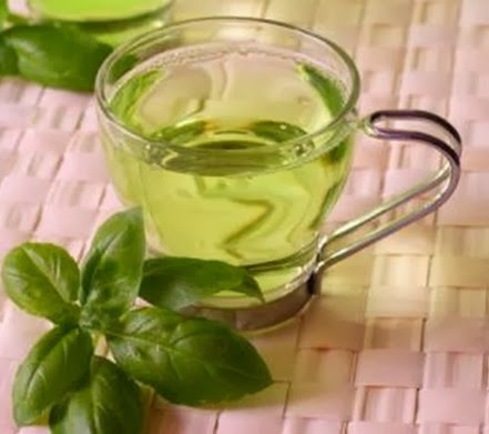 chá-oliveira