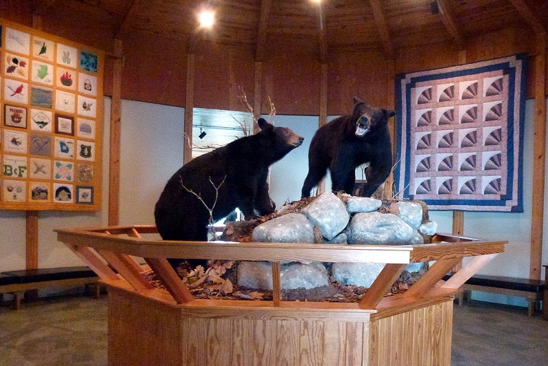 [07b---Visitor-Center---Display-and-a%255B2%255D.jpg]