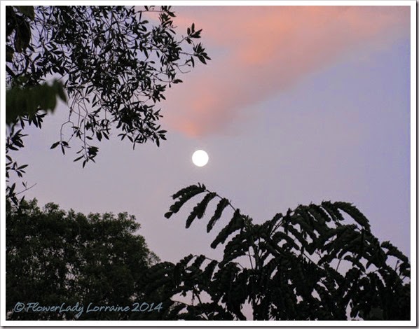 07-13-moon-setting-at-sunrise3