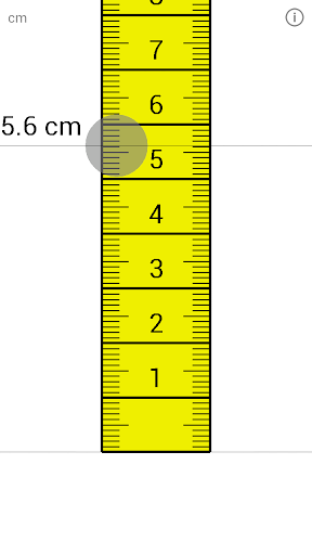 Large Ruler Full