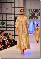 Fashion Pakistan Week (2012) Pictures5