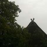 Schwerin 2012