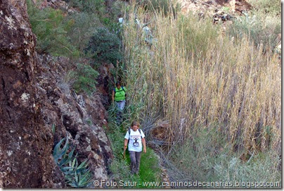 7048 Cruz Tejeda-Artenara-Guardaya(Saliendo de entre las cañas) 7048 Cruz Tejeda-Artenara-Guardaya(Saliendo de entre las cañas)