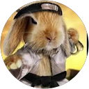Thomas Wright profile picture