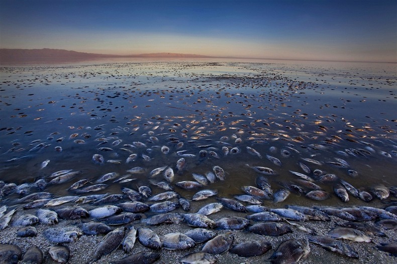 salton-sea-3 salton-sea-3