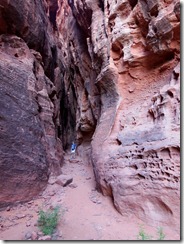 22 - Snow Canyon 01