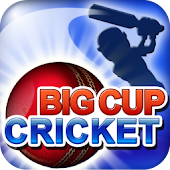 Big Cup Cricket Premium