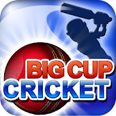 Big Cup Cricket Premium