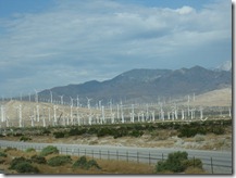 IMG_7922 IMG_7922