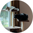 Gelena Mann profile picture