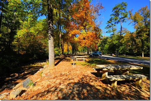 Hot Springs Picnic Area