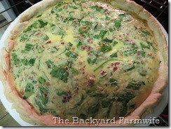 Bacon spinach quiche - The Backyard Farmwife