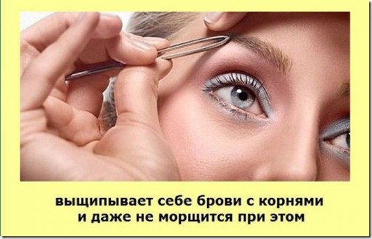 clip_image005 clip_image005