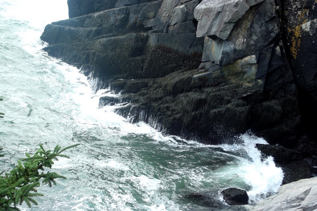 [WestQuaddyCoastalTrail0693.jpg]