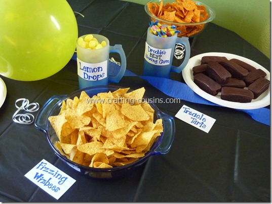 Harry Potter birthday party ideas from the Crafty Cousins (13)