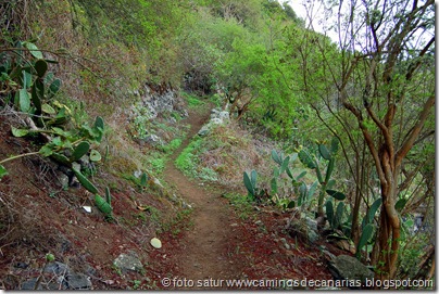 4218 Valleseco-Firgas 4218 Valleseco-Firgas