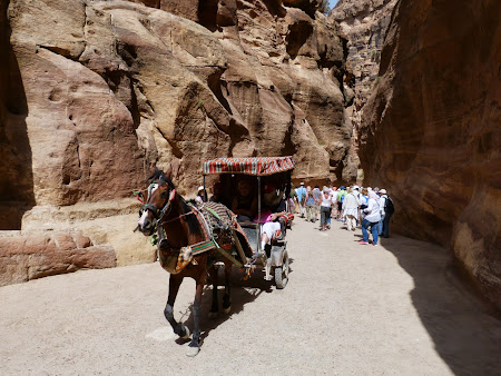 Obiective turistice Petra: Calesti prin Siq