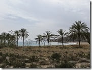 IMG_0177 IMG_0177