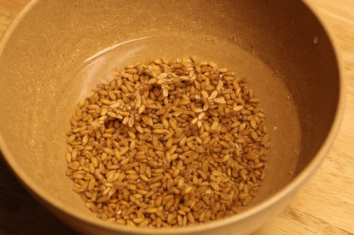sprouted-spelt-bread_2242