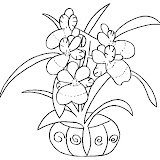 orchidee7.jpg