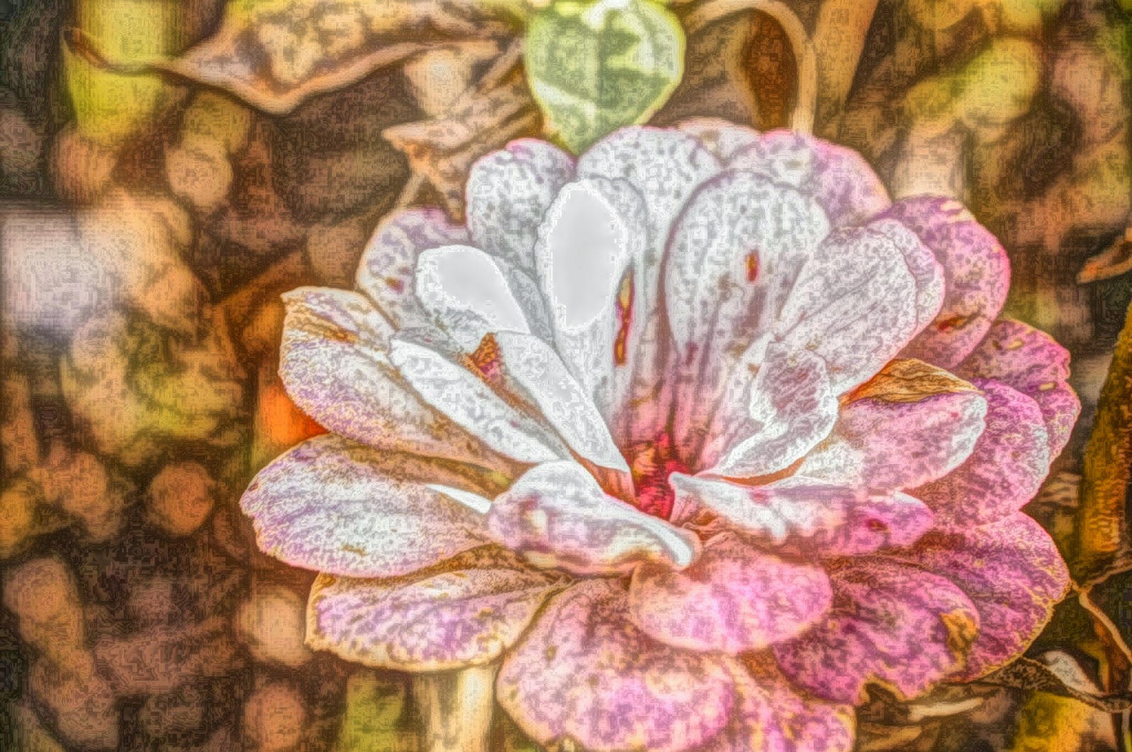 Commercial use flower free picture