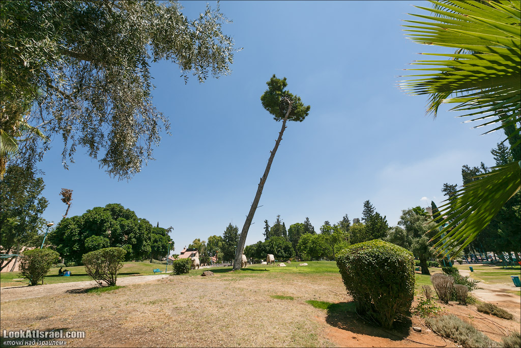 Серия рассказов о городах Израиля «Точки над i» - Рамле 