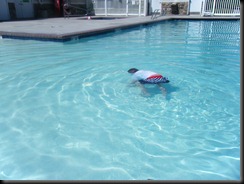6-26-2011 swimming (2)