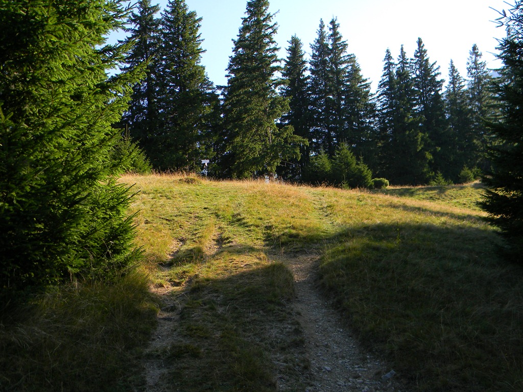[DSCN10763.jpg]