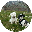 Image Google de Marie Christine Mye