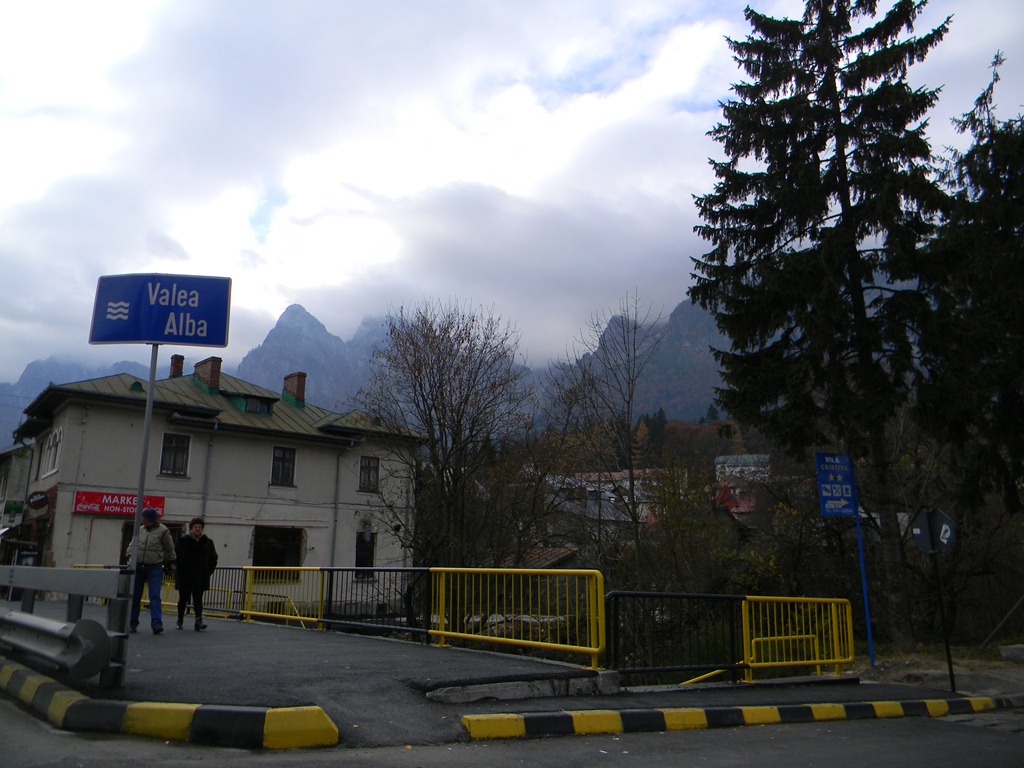 [DSCN49003.jpg]