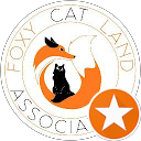 Image Google de Foxy Cat