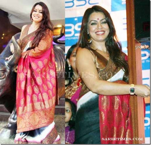 Mahima Chaudhary Hot Saree Unseen Kapoor