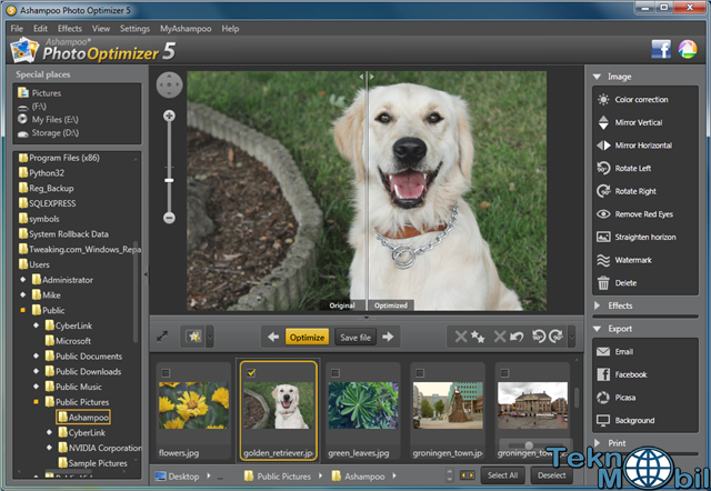 Ashampoo Photo Optimizer Full indir